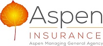 Aspen Payment Link